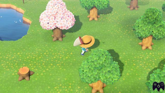 Insect Guide – Animal Crossing New Horizons