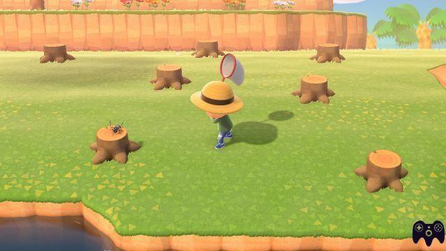 Guida agli insetti – Animal Crossing New Horizons