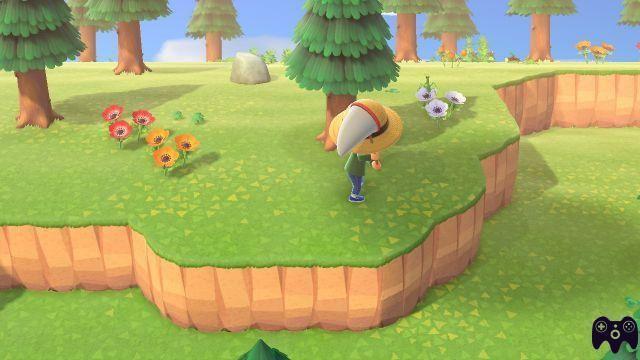 Insect Guide – Animal Crossing New Horizons
