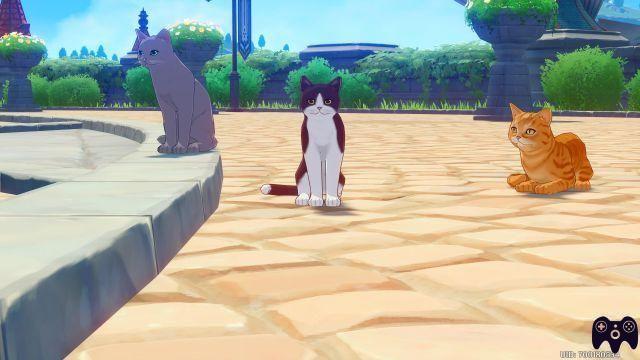 Escapada a Diona: Cóctel especial para gatos – Genshin Impact