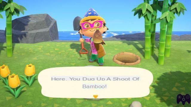 Bamboo shoots – Animal Crossing New Horizons