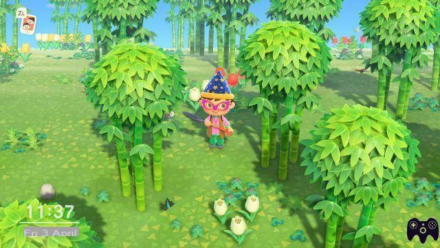 Brotos de bambu – Animal Crossing New Horizons