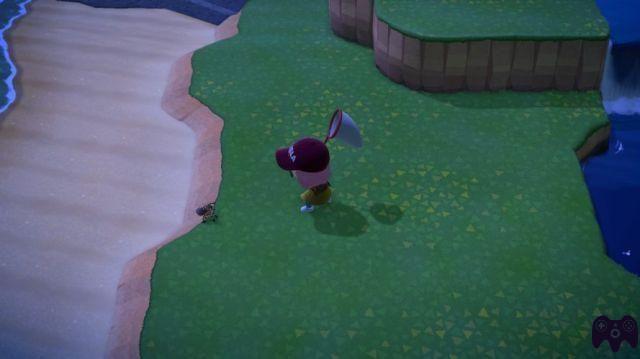 Ottieni il massimo delle campane cacciando le tarantole: Animal Crossing New Horizons