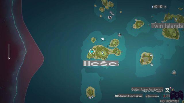 Risolvi l'enigma dei pilastri delle Shattered Islands: Genshin Impact