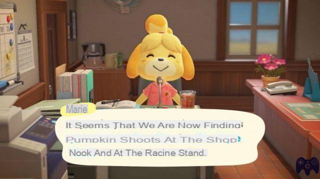 Pumpkins – Animal Crossing New Horizons
