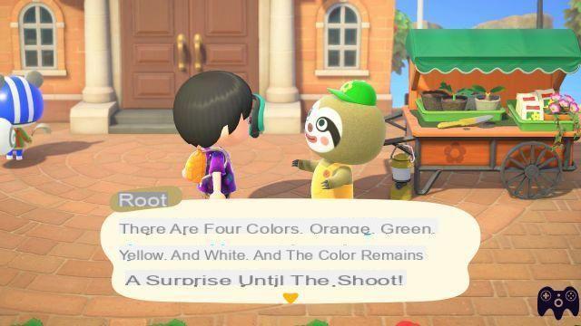 Pumpkins – Animal Crossing New Horizons