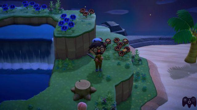 The Island of Hybrid Flowers – Animal Crossing New Horizons