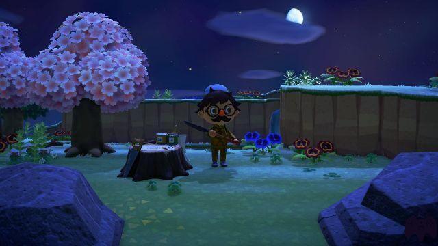 A Ilha das Flores Híbridas – Animal Crossing New Horizons