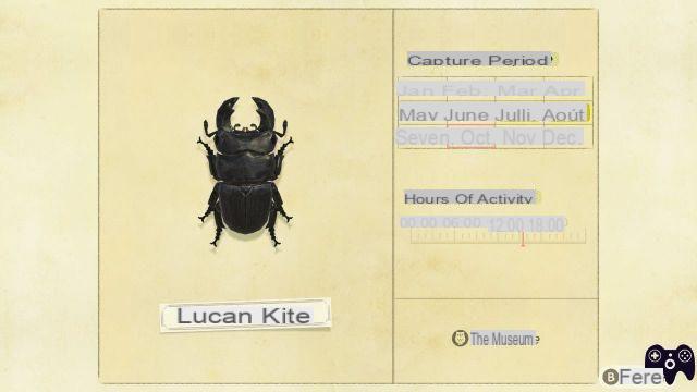 Lista de insectos – Animal Crossing New Horizons