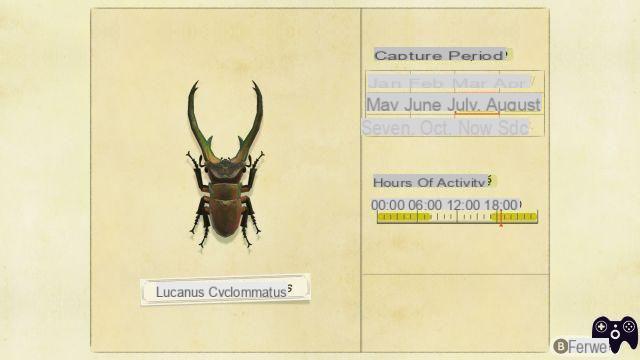 Lista de insetos – Animal Crossing New Horizons