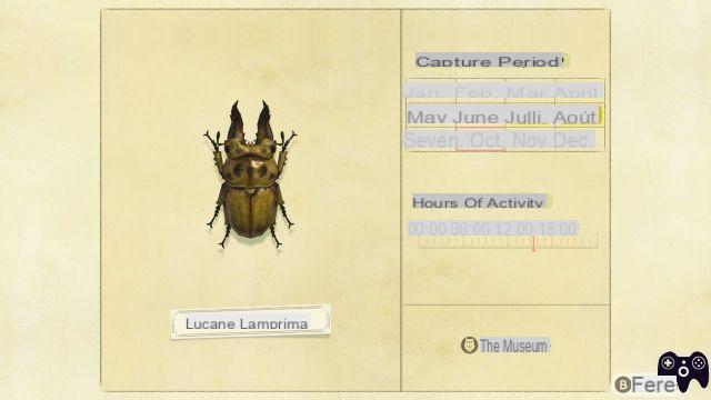 List of insects – Animal Crossing New Horizons